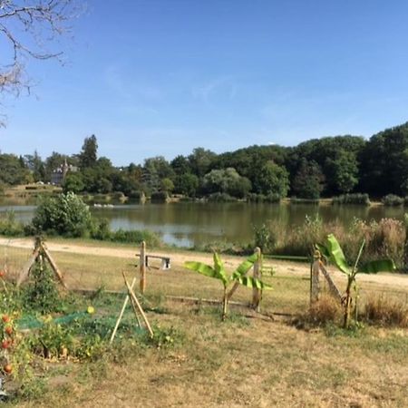 Maison Face A L'Etang Précy Extérieur photo
